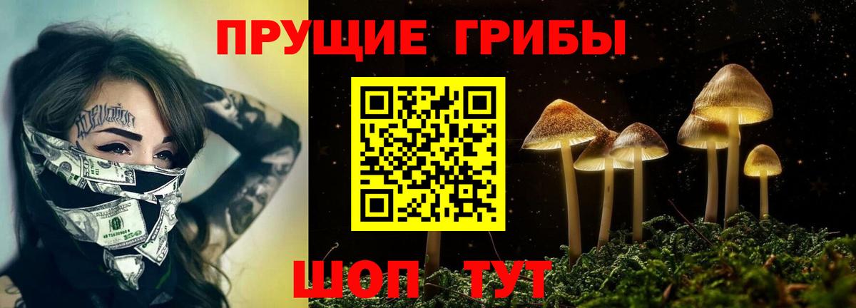 Псилоцибиновые грибы ЛСД  Вход с VPN  Вятские Поляны 